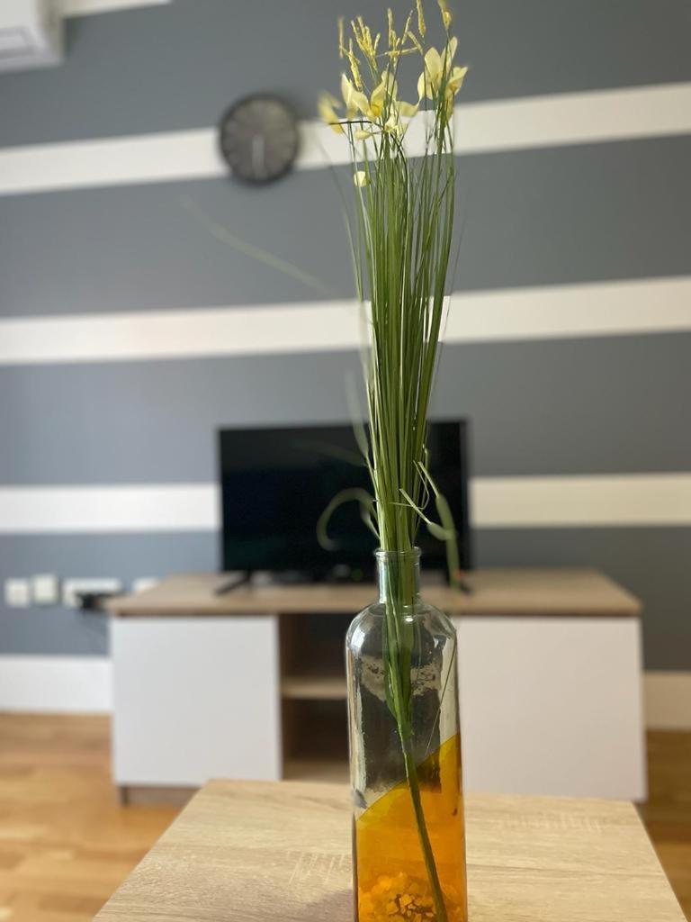 Naki Apartmani Podgorica Habitación foto